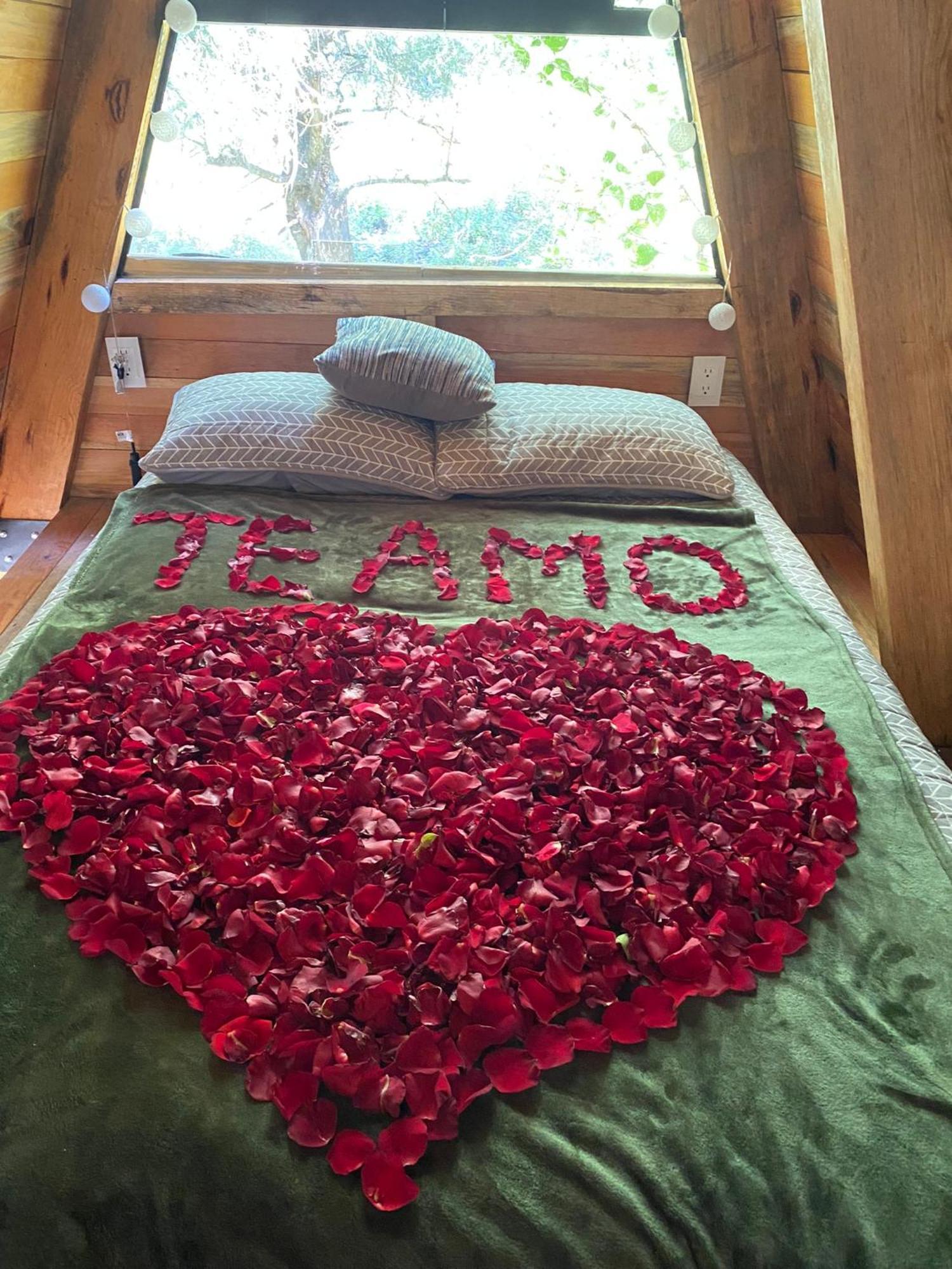 Cabanas Alpina, Romantica Y Acogedora A 10 Minutos Del Centro 迪坡斯特兰 外观 照片